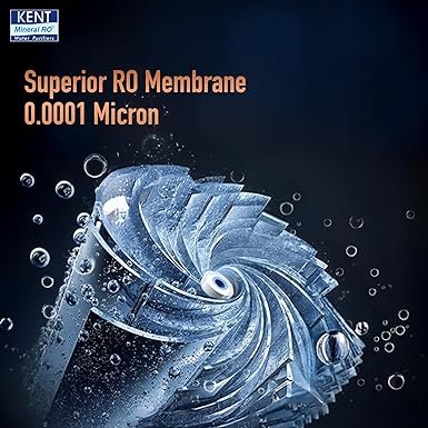 81Jg+Ijec5L._SX385_